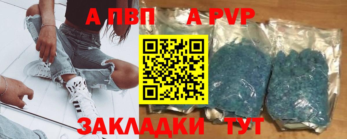 Альфа ПВП СК Сосновый Бор