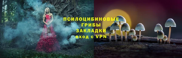 метадон Лабытнанги