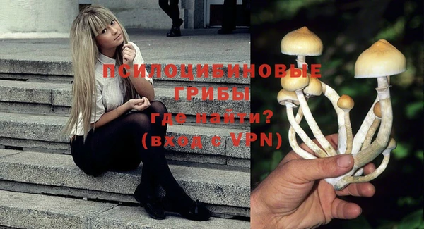 метадон Лабытнанги
