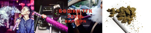 спайс Ладушкин