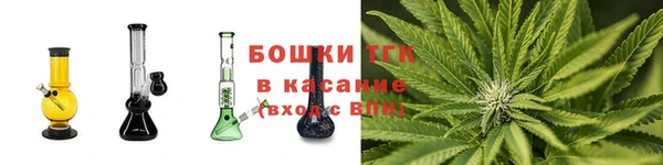 спайс Ладушкин