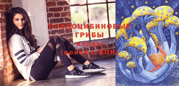 спиды Липки