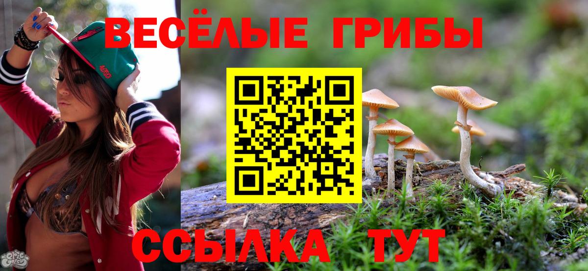 Псилоцибиновые грибы Cubensis  купить наркоту  Вход с VPN  Сосновый Бор  Псилоцибиновые грибы GOLDEN TEACHER 