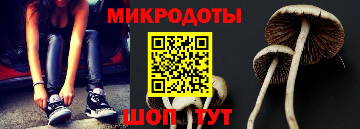 Псилоцибиновые грибы прущие грибы  купить закладку  Сосновый Бор  Псилоцибиновые грибы Magic Shrooms 