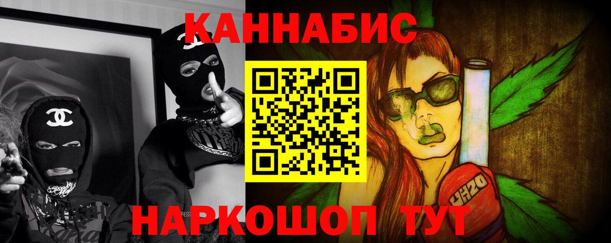Каннабис план  Вход с VPN  Сосновый Бор  Конопля сатива 