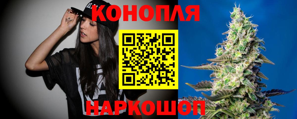 Канабис OG Kush Сосновый Бор